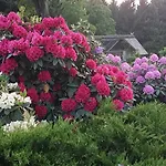 Cafe Und Hoepen Idyll 3* Schneverdingen