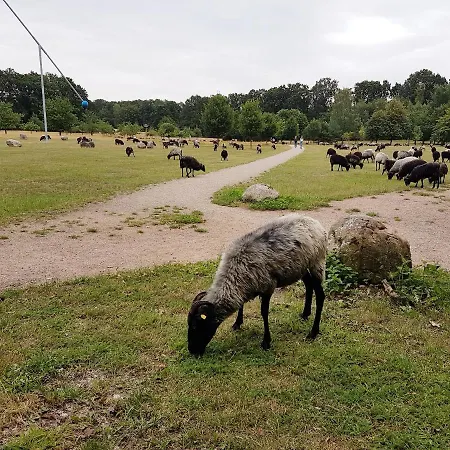Cafe Und Hoepen Idyll Vendégház