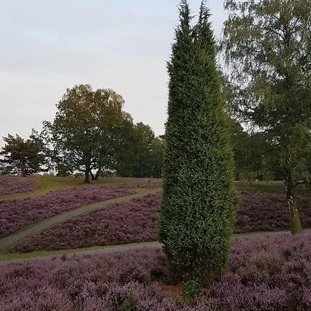 Gasthuis Cafe Und Hoepen Idyll Schneverdingen