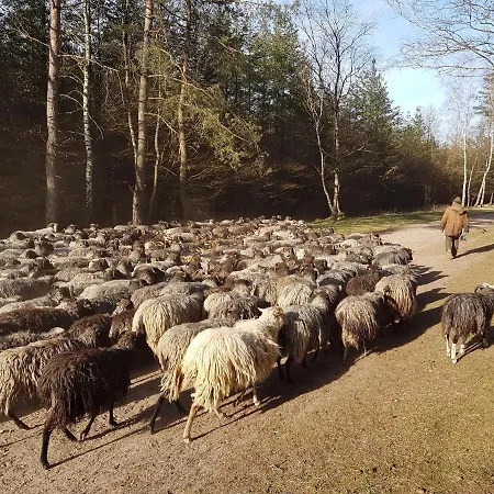 Cafe Und Hoepen Idyll Vendégház