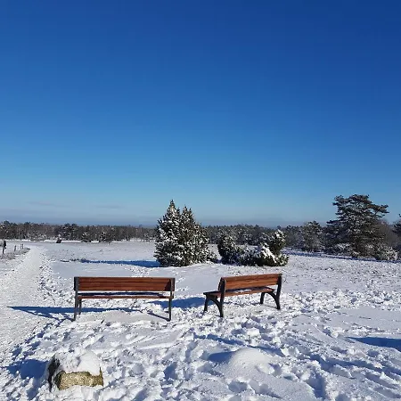 Casa de hóspedes Cafe Und Hoepen Idyll Schneverdingen