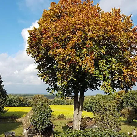 Cafe Und Hoepen Idyll 3* Schneverdingen