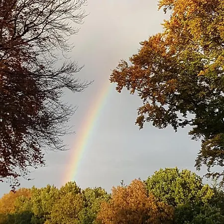 Cafe Und Hoepen Idyll Schneverdingen