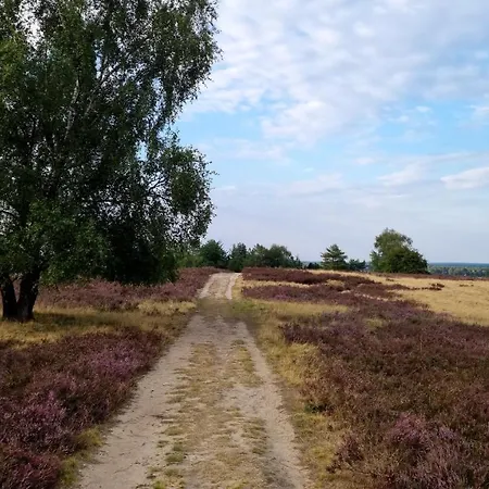 Cafe Und Hoepen Idyll 3* Schneverdingen