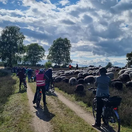 Cafe Und Hoepen Idyll Schneverdingen