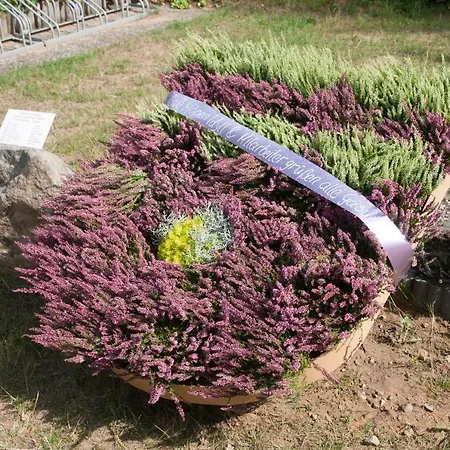 Cafe Und Hoepen Idyll