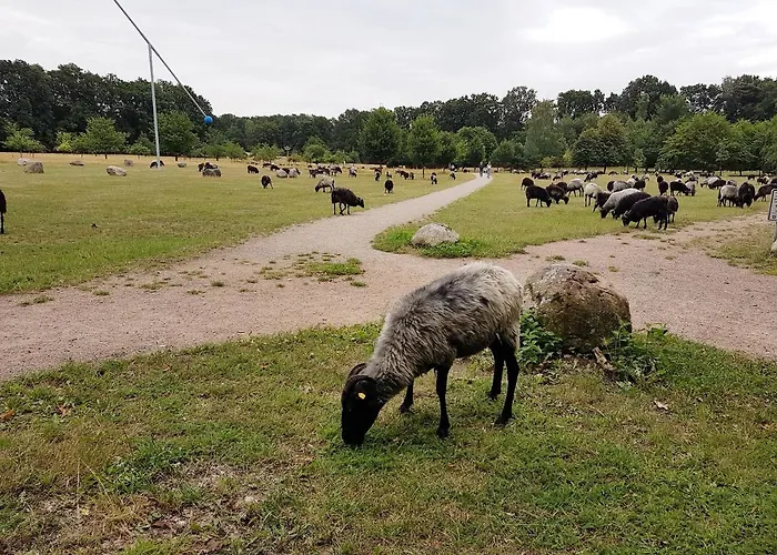 Cafe Und Hoepen Idyll Гостевой дом