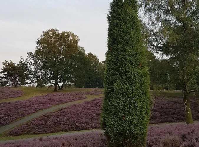 Guest house Cafe Und Hoepen Idyll Schneverdingen