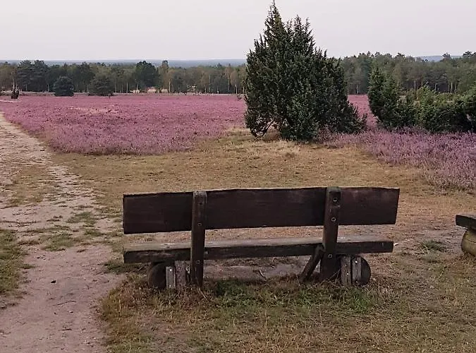 Affittacamere Café Und Höpen Idyll Schneverdingen