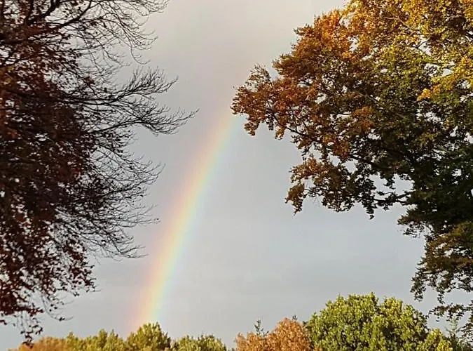 Cafe Und Hoepen Idyll Шнефердинген
